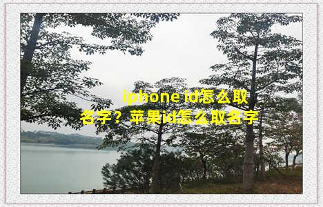 iphone id怎么取名字？苹果id怎么取名字